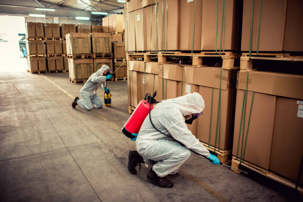 Reliable Pacheco, CA Pest Control Solutions