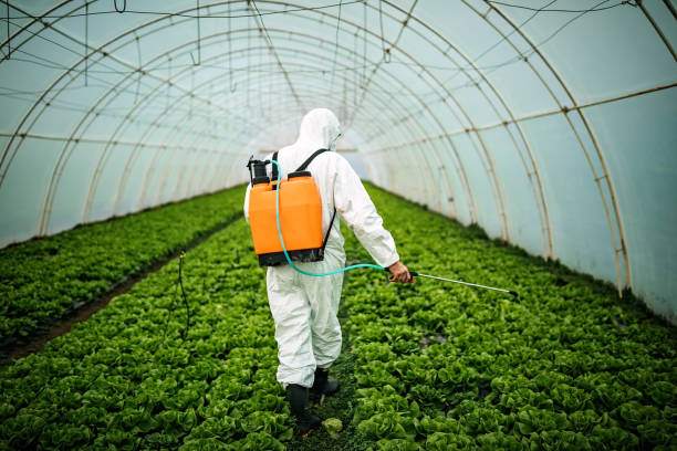 Best Best Pest Control Companies  in Pacheco, CA