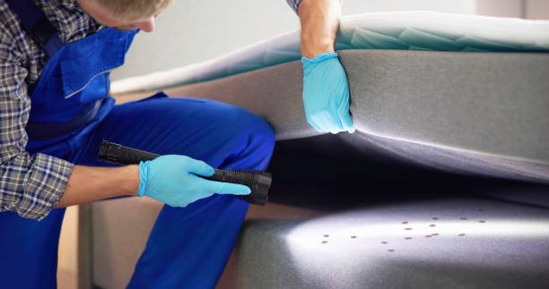 Best Commercial Pest Control Services  in Pacheco, CA